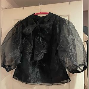 Sheer Tie-Back Blouse